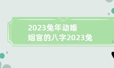 2023兔年动婚姻宫的八字 2023兔子