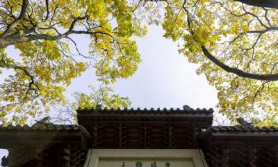 立秋的农事活动如何安排？立秋适合种什么菜？