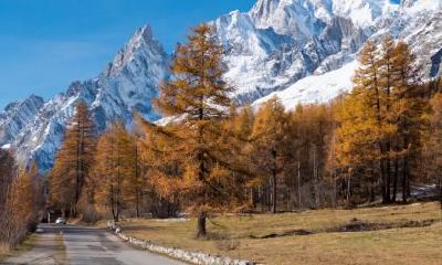 2020年立秋具体时间几点几分几秒？2020年早立秋还是晚立秋？