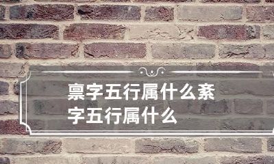 禀字五行属什么 紊字五行属什么