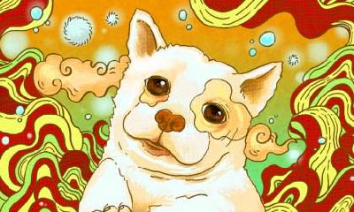 小寒出生的属狗人命硬吗？