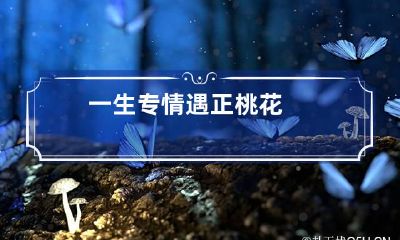 一生专情遇正桃花