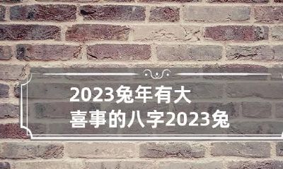 2023兔年有大喜事的八字 2023兔年有大喜事的八字怎么写