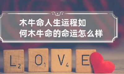 木牛命人生运程如何 木牛命的命运怎么样