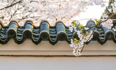 2021年春节过后就是春天了吗？春节的由来是什么？