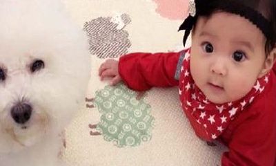 2016年农历7月出生的宝宝名字大汇总