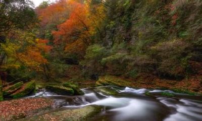 2020年立秋日子好不好？2020年立秋是黄道吉日吗？