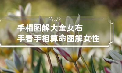 手相图解大全女右手 看手相算命图解 女性右手