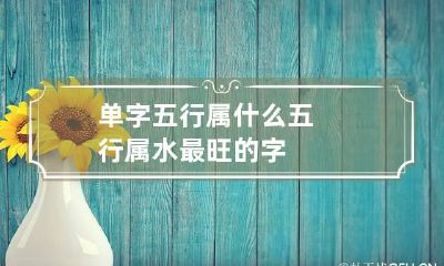单字五行属什么 五行属水最旺的字