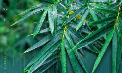 2020年几月几日几点几分是处暑节气？处暑后天气还热吗？