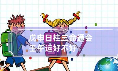 戊申日柱三命通会 壬午运好不好