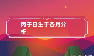 丙子日生于各月分析