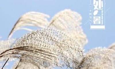 处暑这天可以做什么？处暑有什么活动？