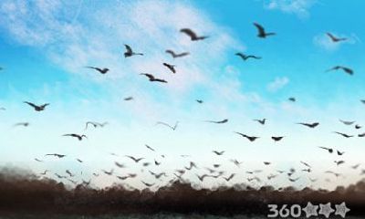 属鼠的人都是如何看待闪婚