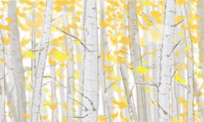 属鼠女最喜欢的运动方式是什么