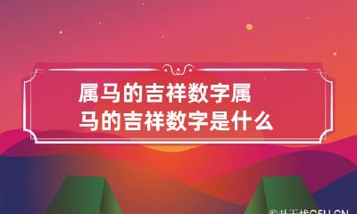 属马的吉祥数字 属马的吉祥数字是什么