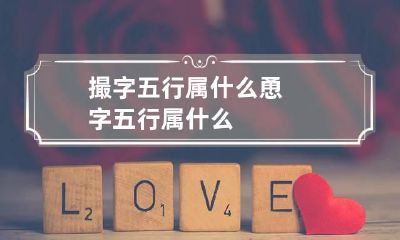 撮字五行属什么 恿字五行属什么