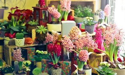 2023属兔正月出生男孩命如何