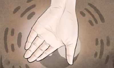 96年属鼠人哪年转大运 那一年运势好