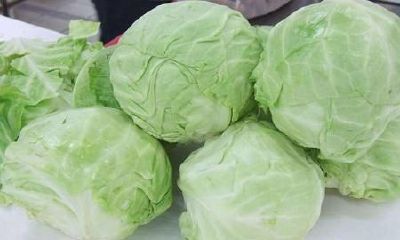 梦见在菜地里砍包菜