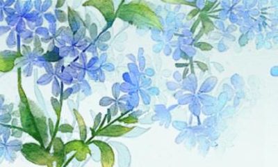 84年鼠女2021年婚姻运势 37岁属鼠女的运势