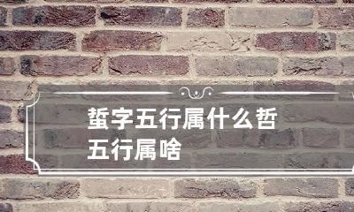 蜇字五行属什么 哲五行属啥