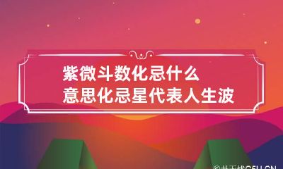 紫微斗数化忌什么意思 化忌星代表人生波折