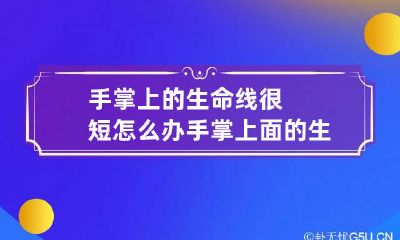 手掌上的生命线很短怎么办 手掌上面的生命线短就是寿命短吗