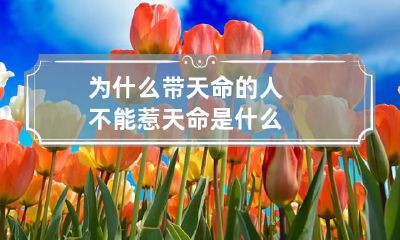 为什么带天命的人不能惹 天命是什么