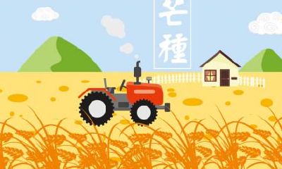 芒种这天可以结婚办喜酒吗？结婚为什么要办喜酒？