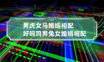 男虎女马婚姻相配好吗 鸡男兔女婚姻相配吗