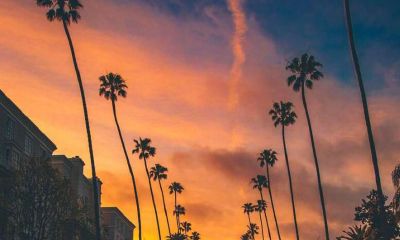 2022年年底有几天农历的出殡吉日？出殡有什么注意事项？