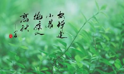 2021年雨水节气理发好不好？2021年雨水卦象吉凶？