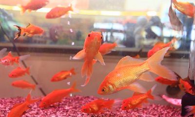 这些家居风水禁忌你一定要知道