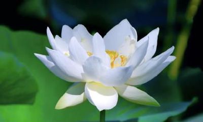 处暑热还是大暑热？处暑还热吗要热多久？