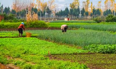 2021年出生起名宜用部首，牛宝宝名字用什么部首的字好？