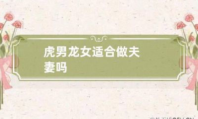 虎男龙女适合做夫妻吗