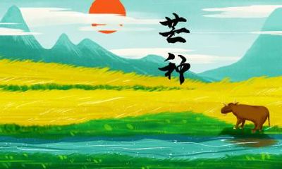 芒种有什么说法与讲究？这些你知道吗？