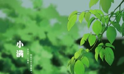 属兔的人在白露节气出生命运如何？