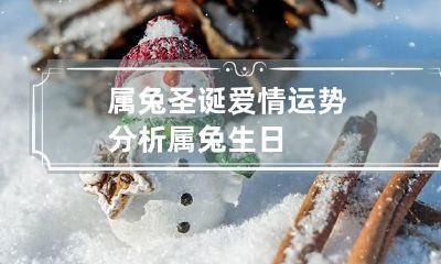 属兔圣诞爱情运势分析 属兔生日