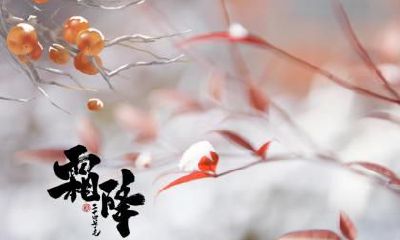 马年白露节气出生的属马人命运好吗？