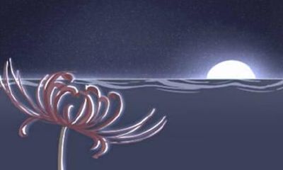 2021年属兔人87的全年运势分析 财运好么