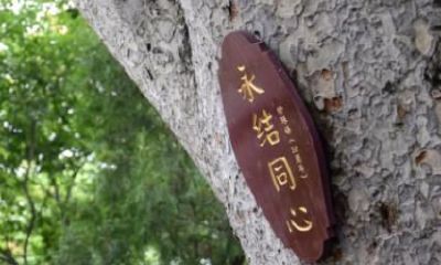 结婚庆典风水忌讳及化解有什么