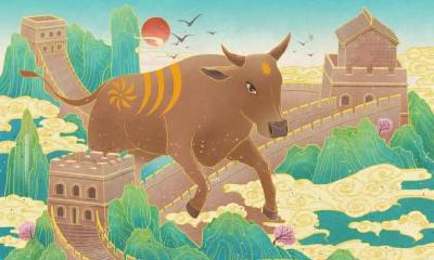 属牛的人夏至出生好吗,2021年夏至是什么时候?