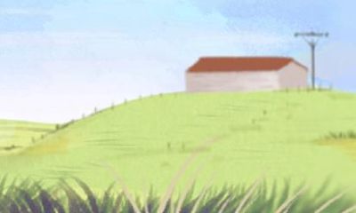 属兔人2021年往哪个方向发展好 财运的方向