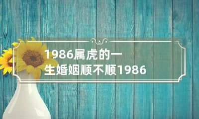 1986属虎的一生婚姻顺不顺 1986属虎的一生婚姻顺不顺呢