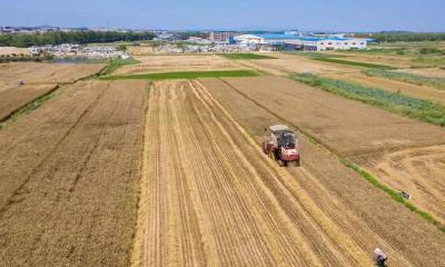 2020年5月20日小满日子喜神方位查询表！