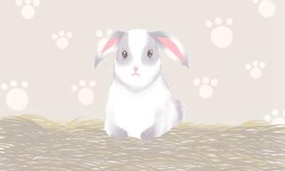 属兔人2021年佩戴什么保平安 忌讳什么颜色