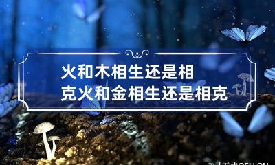 火和木相生还是相克 火和金相生还是相克