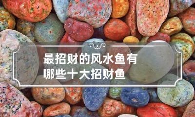 最招财的风水鱼有哪些 十大招财鱼